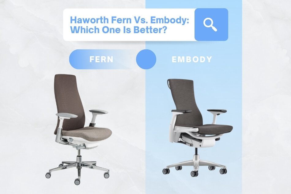 Haworth Fern Vs. Embody Which One Is Better